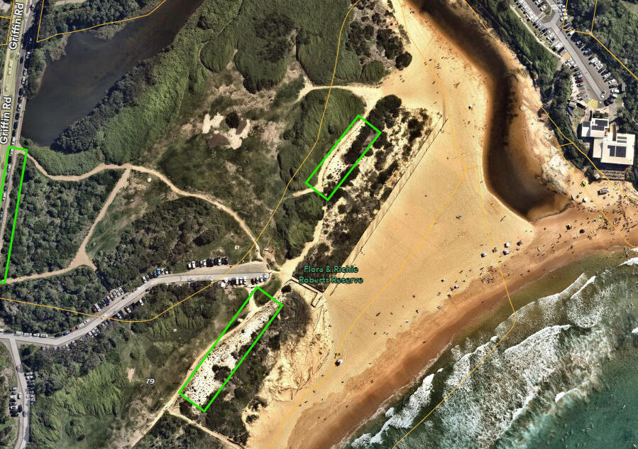 Sand Dunes Restoration Dunes from above