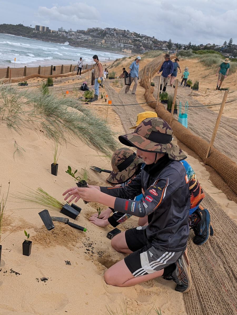 Sand Dunes Restoration So many people in the community care about our dunes. Lets look after them.
